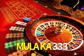 MULAKA333 Indicadores de vuelo